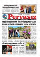 PERVASIZ
