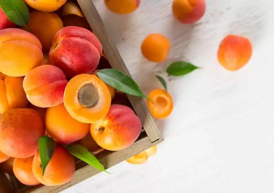 2025 yılı kuru kayısı ihracat verileri paylaşıldı.