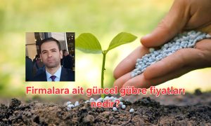 Yurt içi gübre piyasasında durumlar nedir?