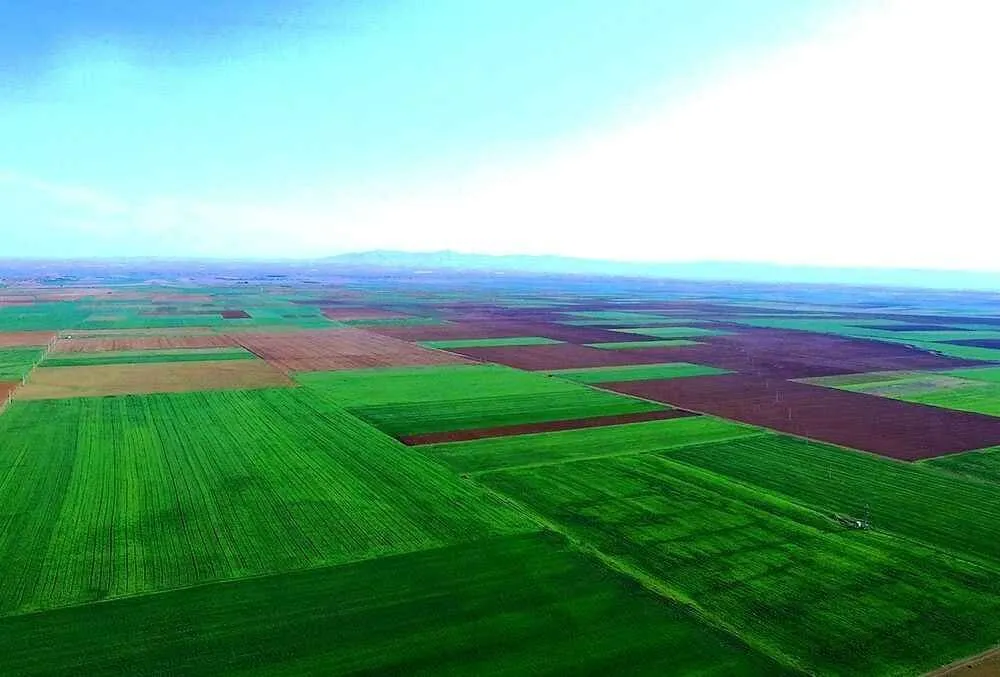 Alpu Ovası İçin Tarihi Bir Karar Daha!