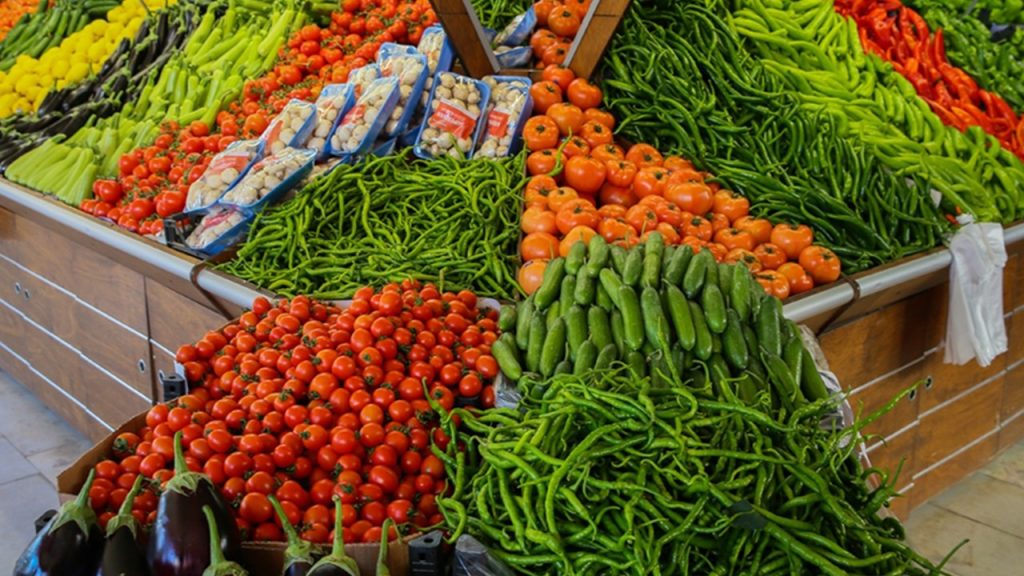 Orta Asya’nın en büyük sera komplekslerinden birinin genişletilmesi planlanıyor.