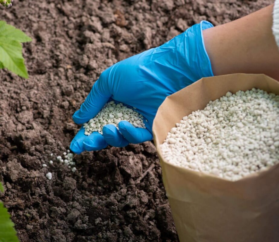 Gübrede Arz-Talep Dengeleri Değiştirdi