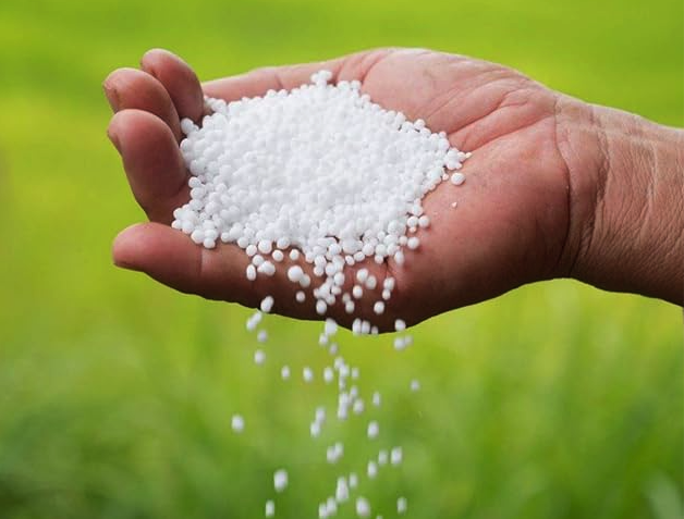 Hindistan’ın Üre alımı netleşti.