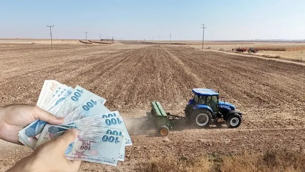 Küresel Gübre Krizi