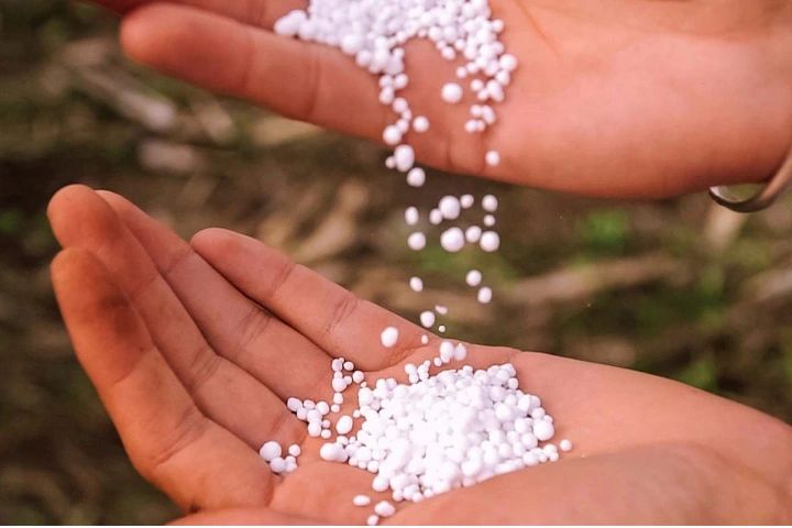 Üre Fiyatlarının Akıbetini Bu İhale Belirliyor