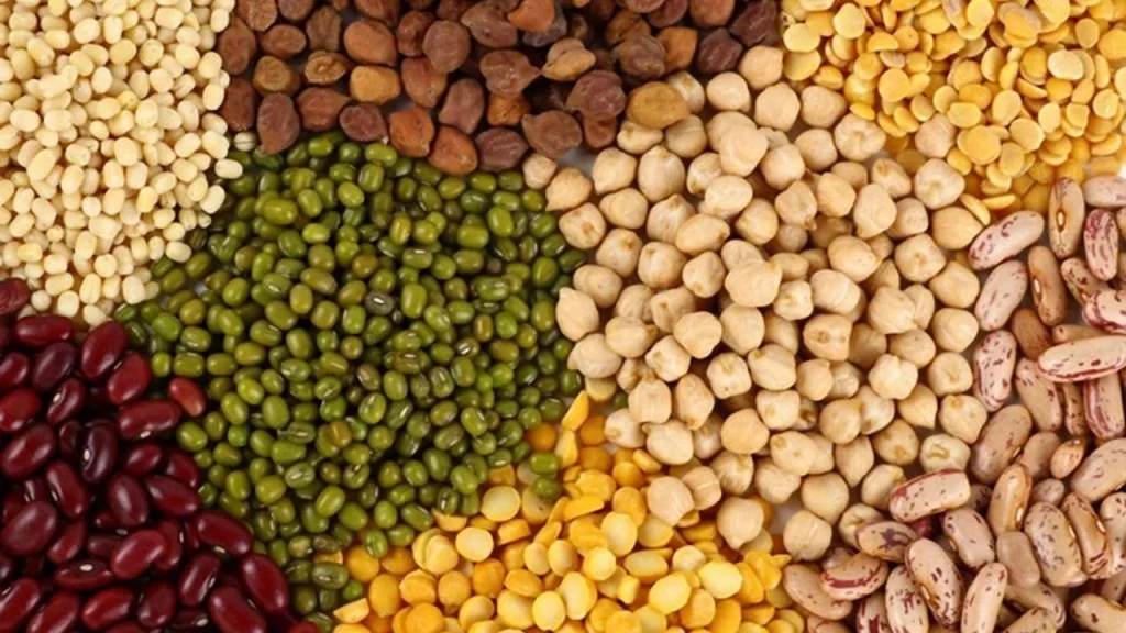 10 Şubat Dünya Baklagil Günü