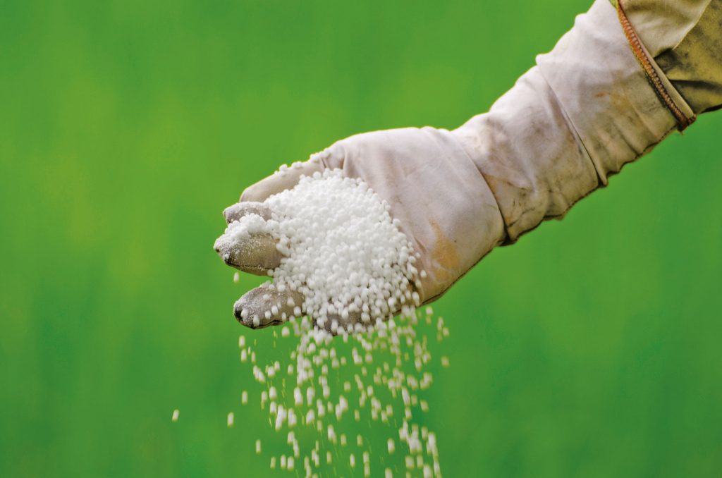 Üre Üretemiyoruz,  Ürede Ne Kadar İthalat Yaptık?