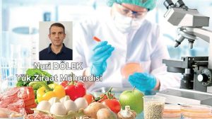 GDO’ya Nasıl Teslim Olduk?