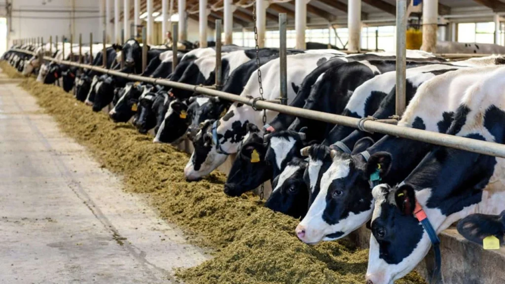 TÜİK’e Göre Artış ! %4,3