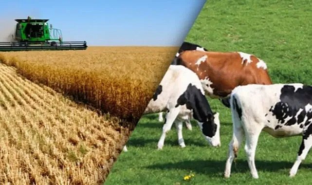 Konya’dan Konkordato Haberi