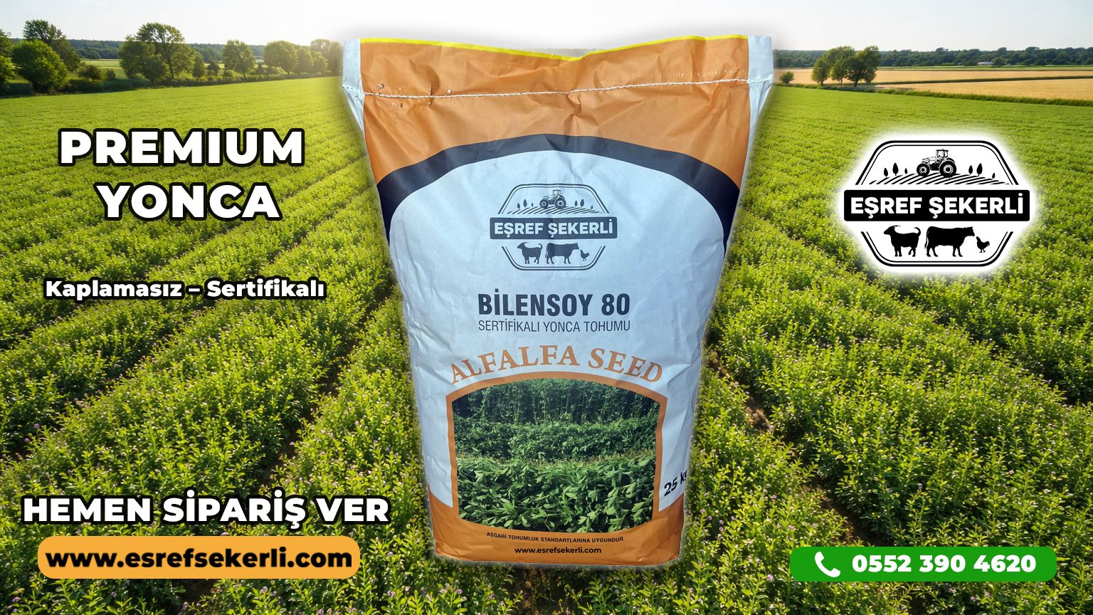 WhatsApp Image 2026-03-25 at 14.20.19