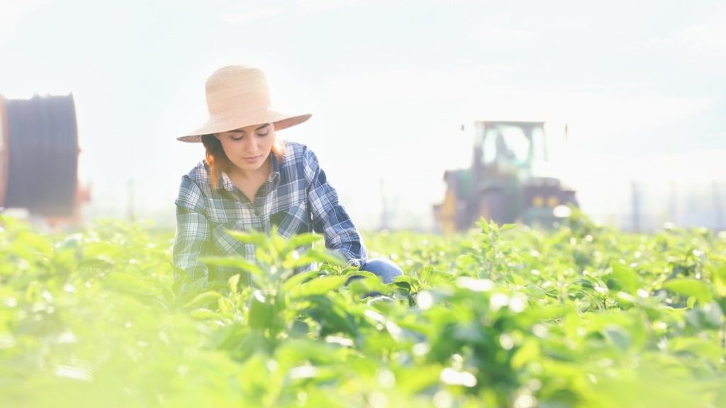 ABD/İsrail- İran Savaşı Tarımsal Girdi Maliyetlerini Tetikledi, Gıda Fiyatlarına Yansımaya Başladı
