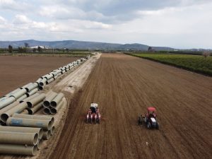 Çukurova’da Mısır Ekimi Başladı