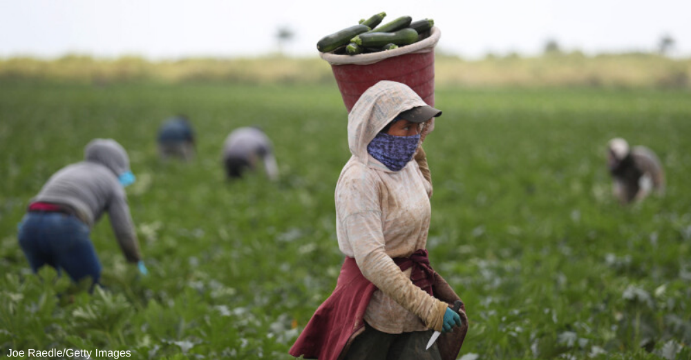 Tek Küçülen Sektör; TARIM