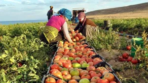Savaş Gıda Fiyatlarını Etkiledi; Reyonlarda fiyatlar yükseliyor