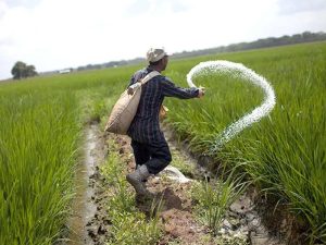 Küresel Üre Piyasalarını Hareketlendirecek İhale Tamamlandı; Hindistan 2,5 Milyon ton üre aldı